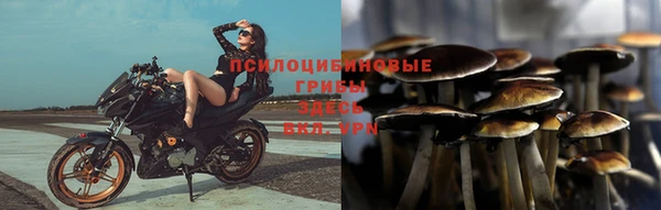 метадон Гусиноозёрск