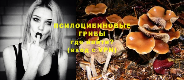 MDMA Дмитровск
